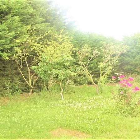 Mutlu Villa